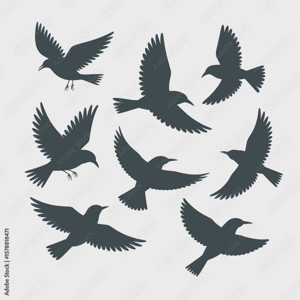 Collection of dark silhouettes of birds in flight isolated on white background Collection of dark silhouettes of birds in flight isolated on white background
