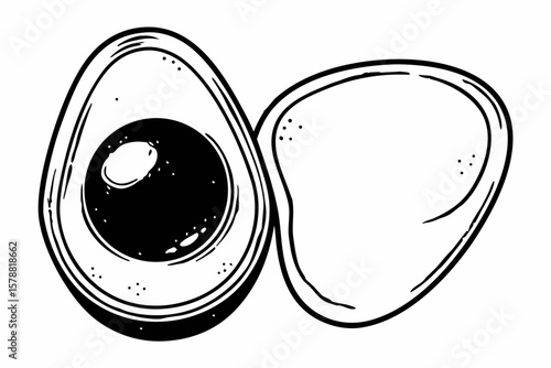 A sliced avocado is isolated on white background