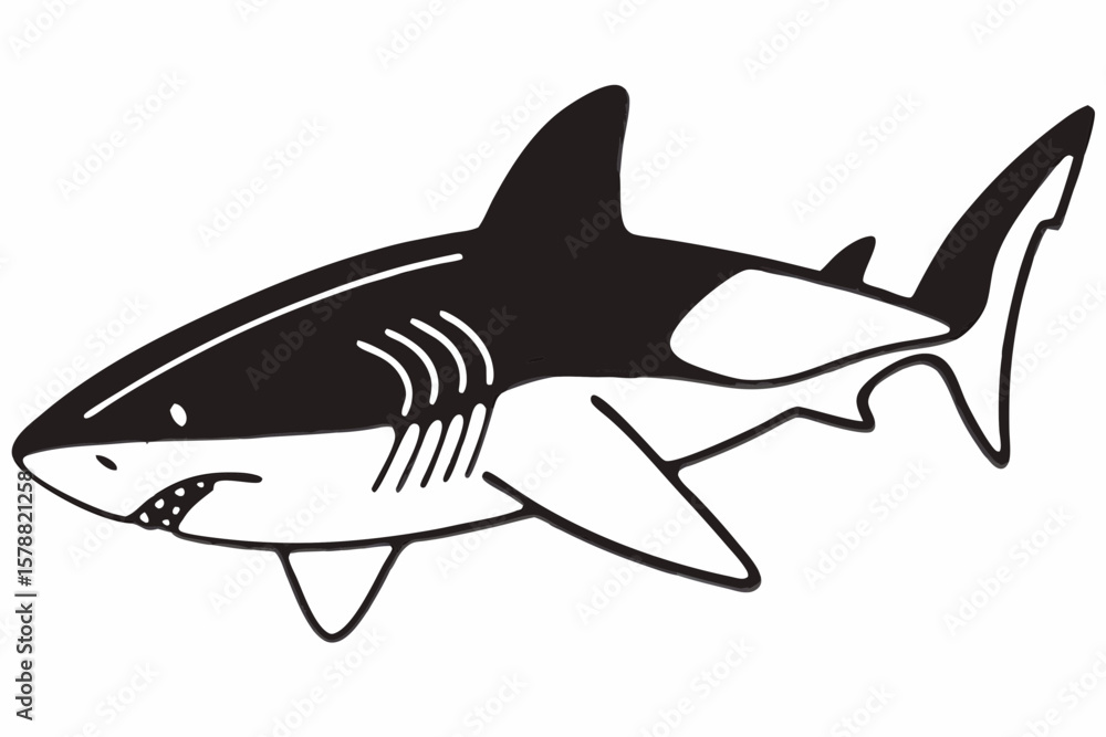 Fototapeta premium Hand drawn shark illustration isolated on white background
