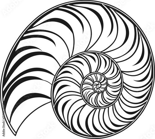 Here's a concise description:

Abstract black and white spiral swirl with a natural fractal pattern resembling a nautilus shell or ammonite fossil