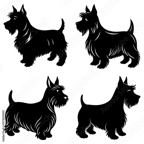 Four scottish terrier dogs in black silhouette standing in various poses against a white background