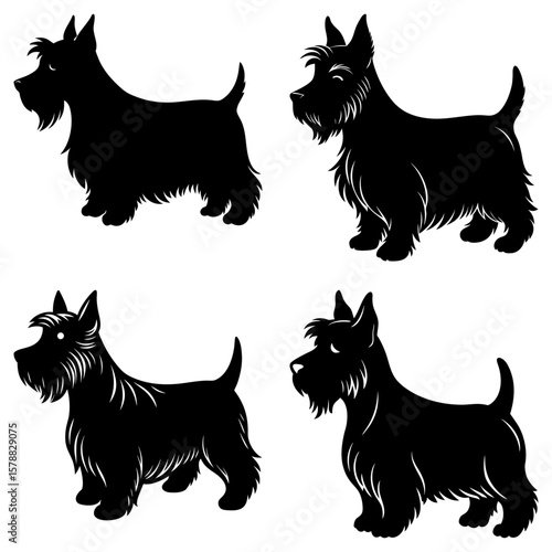 Four scottish terrier dogs in black silhouette standing in various poses on a white background image