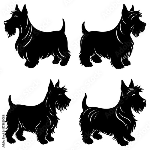 Four black scottish terrier dog silhouettes in various poses on a white background design art
