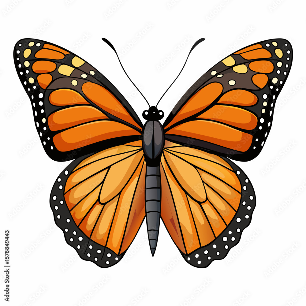 Fototapeta premium butterfly isolated on white