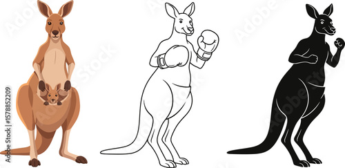 Kangaroo illustrations vector collection featuring mother with joey boxing pose and silhouette art