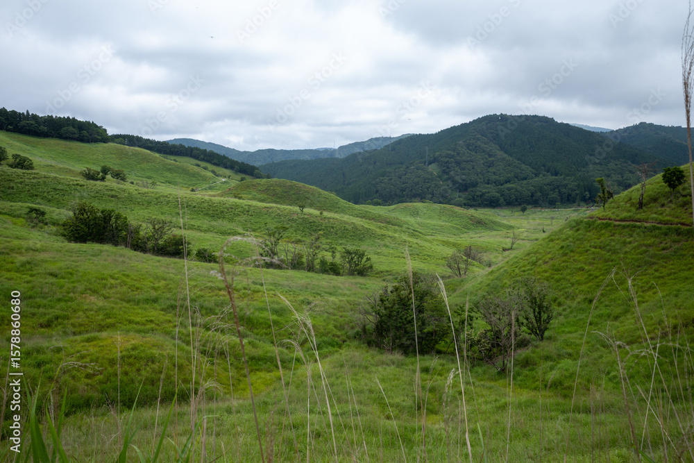 Obraz premium 日本の兵庫県神河町の砥峰高原の美しい夏の風景