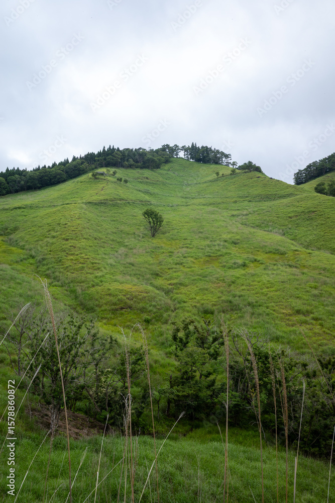 Obraz premium 日本の兵庫県神河町の砥峰高原の美しい夏の風景