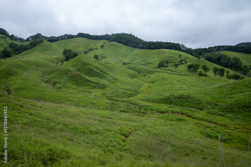 Fototapeta premium 日本の兵庫県神河町の砥峰高原の美しい夏の風景