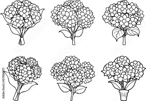 A Set of Hydrangea flower bouquet black outline vector and illustration, coloring book page