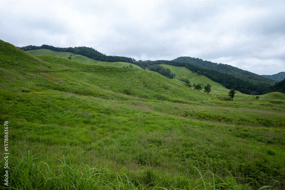 日本の兵庫県神河町の砥峰高原の美しい夏の風景 日本の兵庫県神河町の砥峰高原の美しい夏の風景