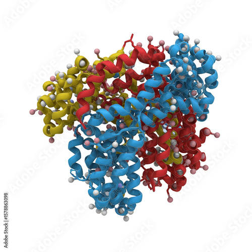 3D Molecular Model Protein Medical Research Isolated Transparent Background