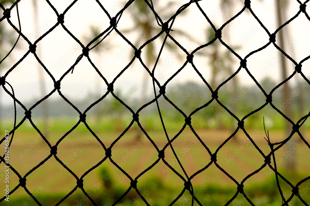 Naklejka premium Chain-Link Fence with Tropical Palm Trees Beyond