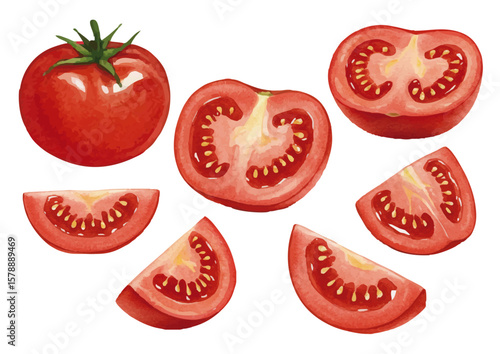 Vector watercolor vegetable / 水彩テイストの野菜イラスト（トマト）