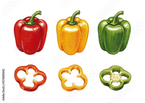 Vector watercolor vegetable / 水彩テイストの野菜イラスト（ピーマン・パプリカ）