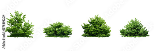 Green Trees And Bushes Digital Vector Side View Set. Landscape Architecture And Environmental Design Collection. Isolated Vector Illustration