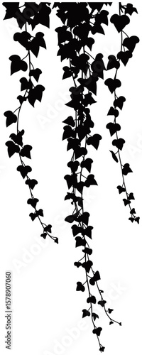 Tropical Leaves and Botanical Bouquets Silhouettes Vector Collection