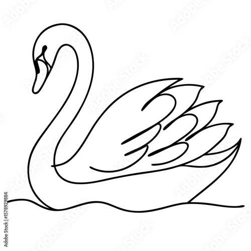 Swan floating in water with simple line art drawing, black and white illustration. Swan floating peacefully along on still surface. Peaceful swan floating and swimming for nature themed art.