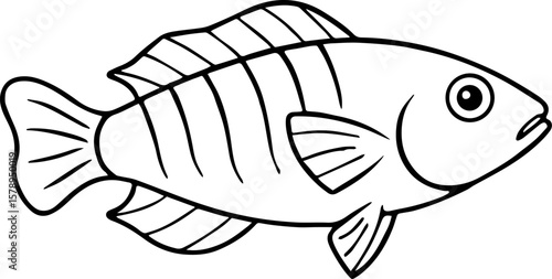 Cleaner wrasse fish outline vector illustration 
