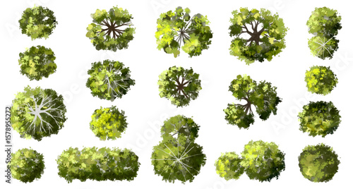 Vector set of Top view green tree for outdoor plan or map and architecture drawing, elements for environment and garden ,botanical elements ,Blooming flowers in spring,tropical plants element
