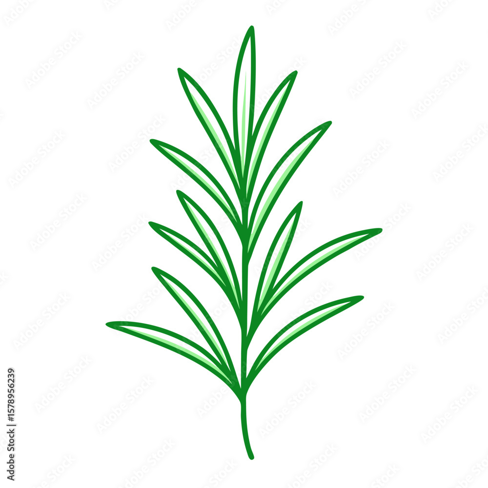 Obraz premium rosemary line art on white-background