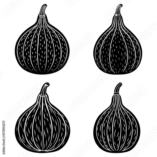 Four black and white figs with detailed line work arranged in a square pattern on a white background