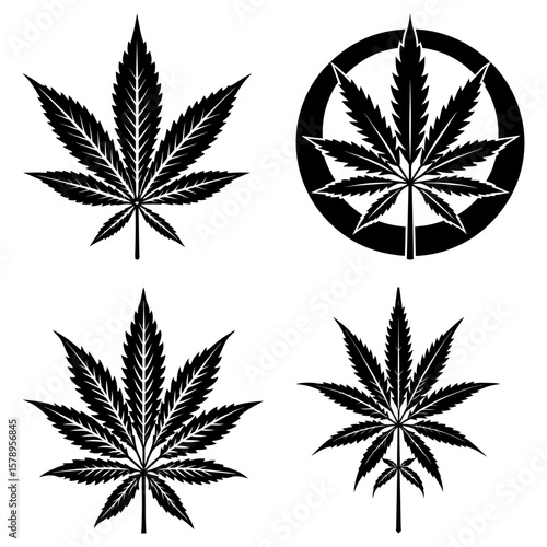 Four cannabis sativa leaf illustrations in black and white with varying styles and arrangements shown here