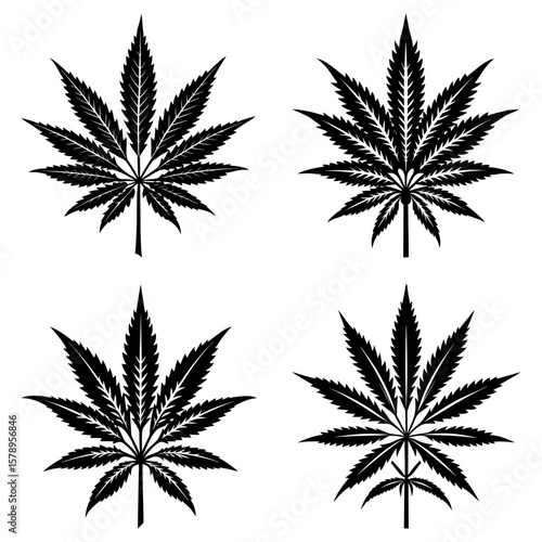 Four black cannabis sativa leaves with jagged edges arranged in a square pattern on white background