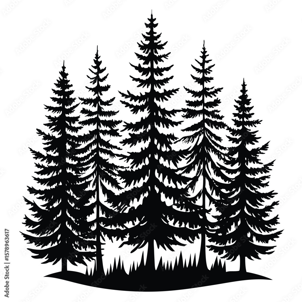 Obraz premium Black silhouette of pine trees and grass forest nature