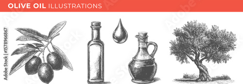 Set illustrations of olive oil isolated on transparent background. Vector graphics