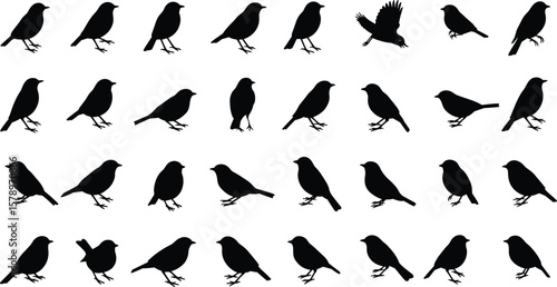 Bird silhouette vector set, flying and perched birds, black bird icons collection, isolated animal shapes for design, art, and nature