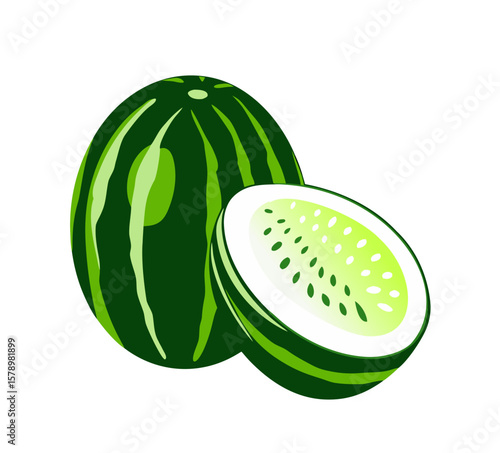 Honeydew melon icon for healthy food and body support	
