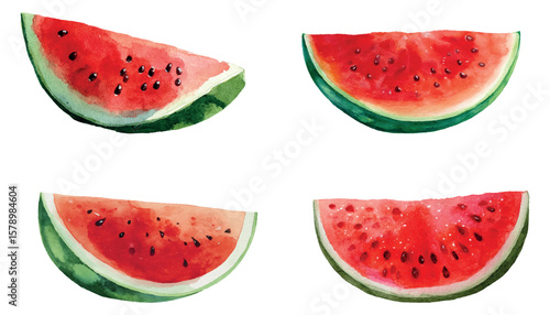 Watercolor set of watermelon slices png. Red watermelon with green rind and seeds. Assorted watermelons in cartoon style. Sliced ​​watermelons. Vector illustration.