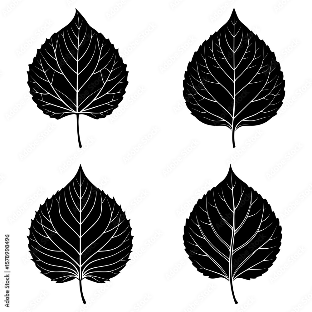 Obraz premium Four black and white leaf illustrations with detailed veins on a white background in a symmetrical pattern