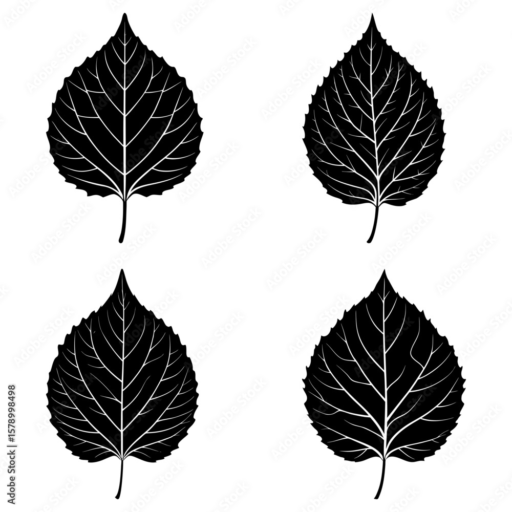 Obraz premium Four black leaves with detailed veins arranged in a square pattern on a white background design element