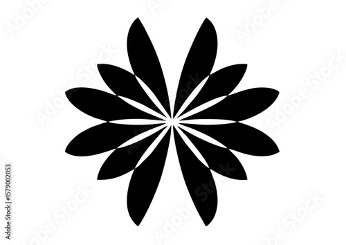 Black geometric star or snowflake silhouette