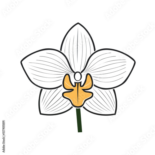 Vector Illustration of Orchid Flower with Bold Black Outlines and Flat Colors in Modern Graphic Style
