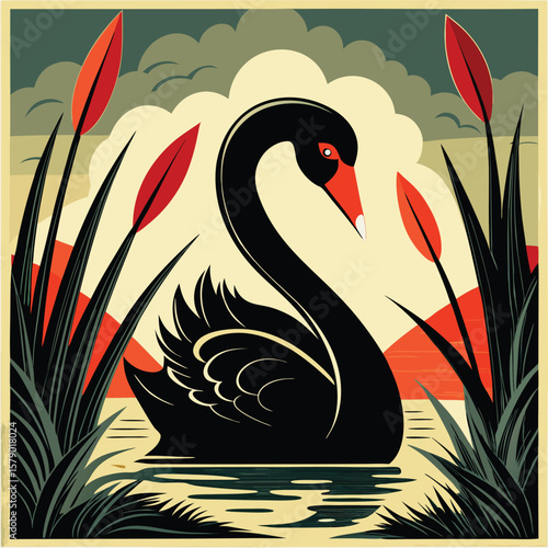 Black swan swimming amidst reeds and sunset water nature