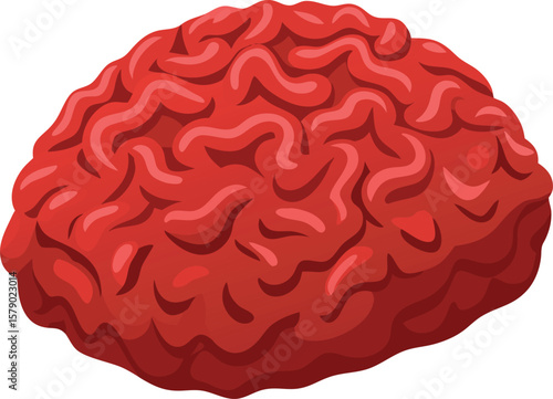 Seafood Platter Design Graphics Fresh Ground Beef, Raw Minced Meat, Ready for Cooking, Patty Making, Burger Ingredient, Red Meat,...