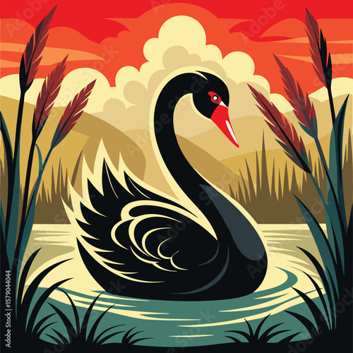 Black swan swimming in water with reeds and sunset