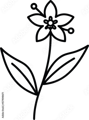 waxflower icon vector line art on transparent background