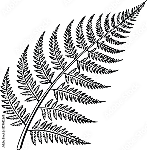 Green fern fronds, a lush botanical pattern of natural forest foliage, isolated on white