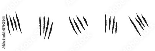 Animal Claw scratches mark set. Cat tiger scratches paw shape. isolated on White background . EPS 10 . 