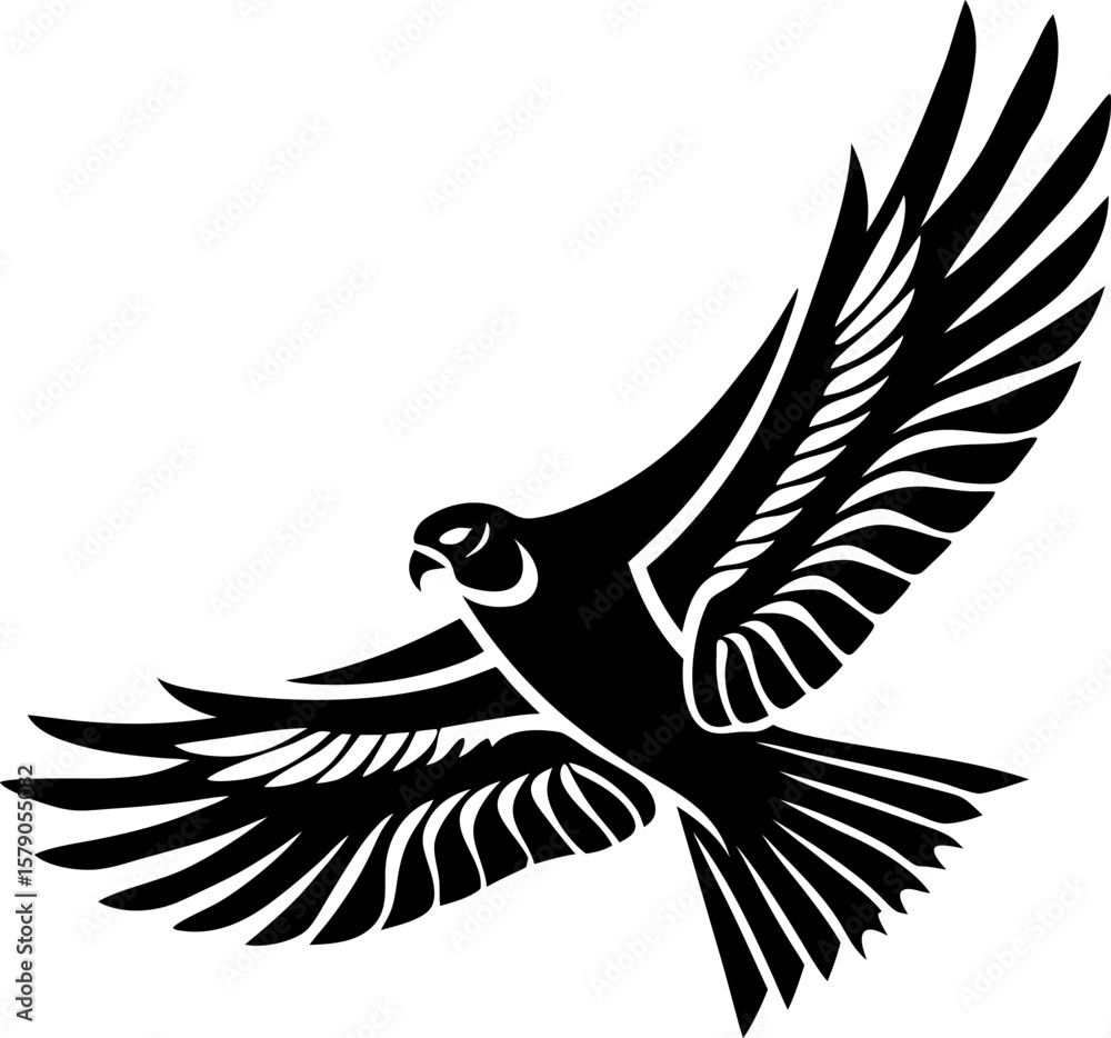 Obraz premium Flying falcon spreading wings in mid air black and white illustration of majestic bird with detailed feathers soaring gracefully