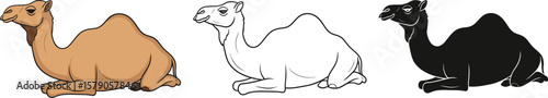 Camel cartoon illustration: cute dromedary camel vector drawing for kids coloring book and design projects