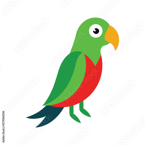 parrot on white background