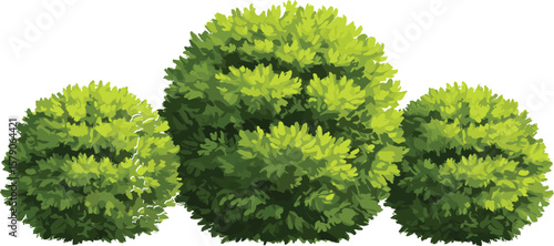 
Set of round green bush illustrations, lush garden foliage clipart, landscaping shrub elements, decorative nature plants isolated on white