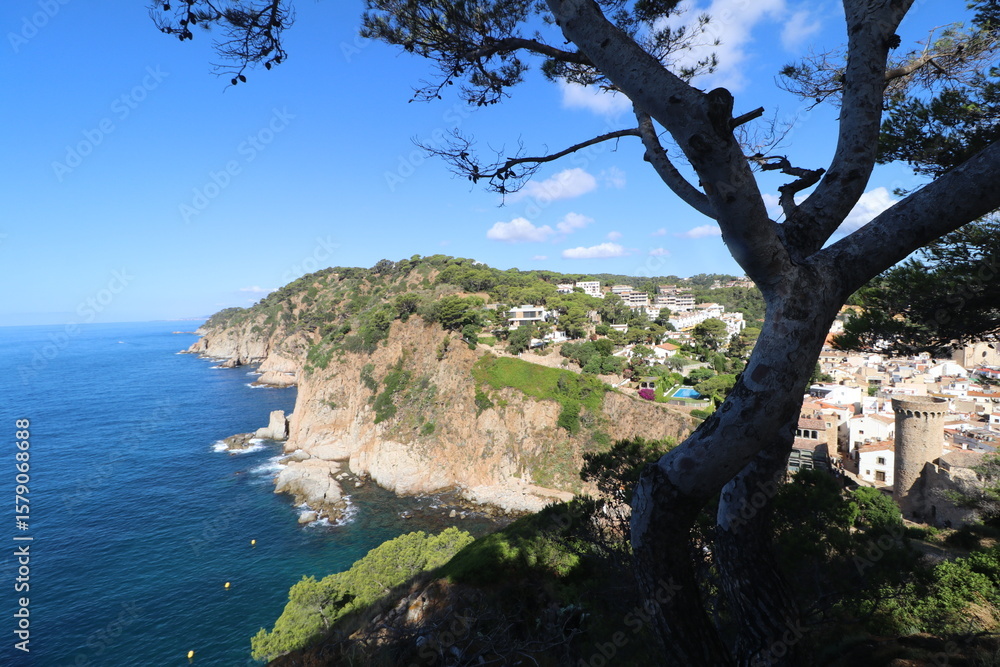 Obraz premium Rocks, stones and cliffs of the Codolar cove of Tossa de Mar in the south of the Costa Brava in summer