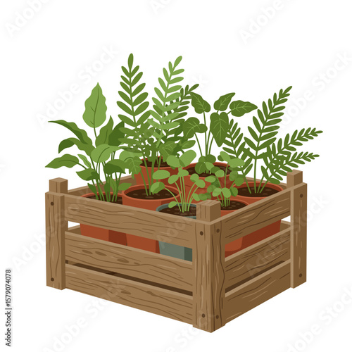 Rustic wooden crate filled with small potted plants and seedlings, flat gardening vector illustration in green tones on clean white background