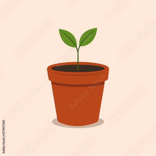 Illustration of a young plant sprouting from rich soil in a terracotta pot