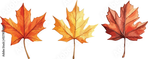 Watercolor Autumn Maple Leaves in Shades of Orange and Yellow